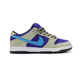 Dunk Low Sb X Acg Celadon C0861