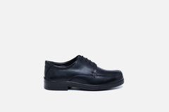 Mens Wide Fit Alex Lace Up Shoes