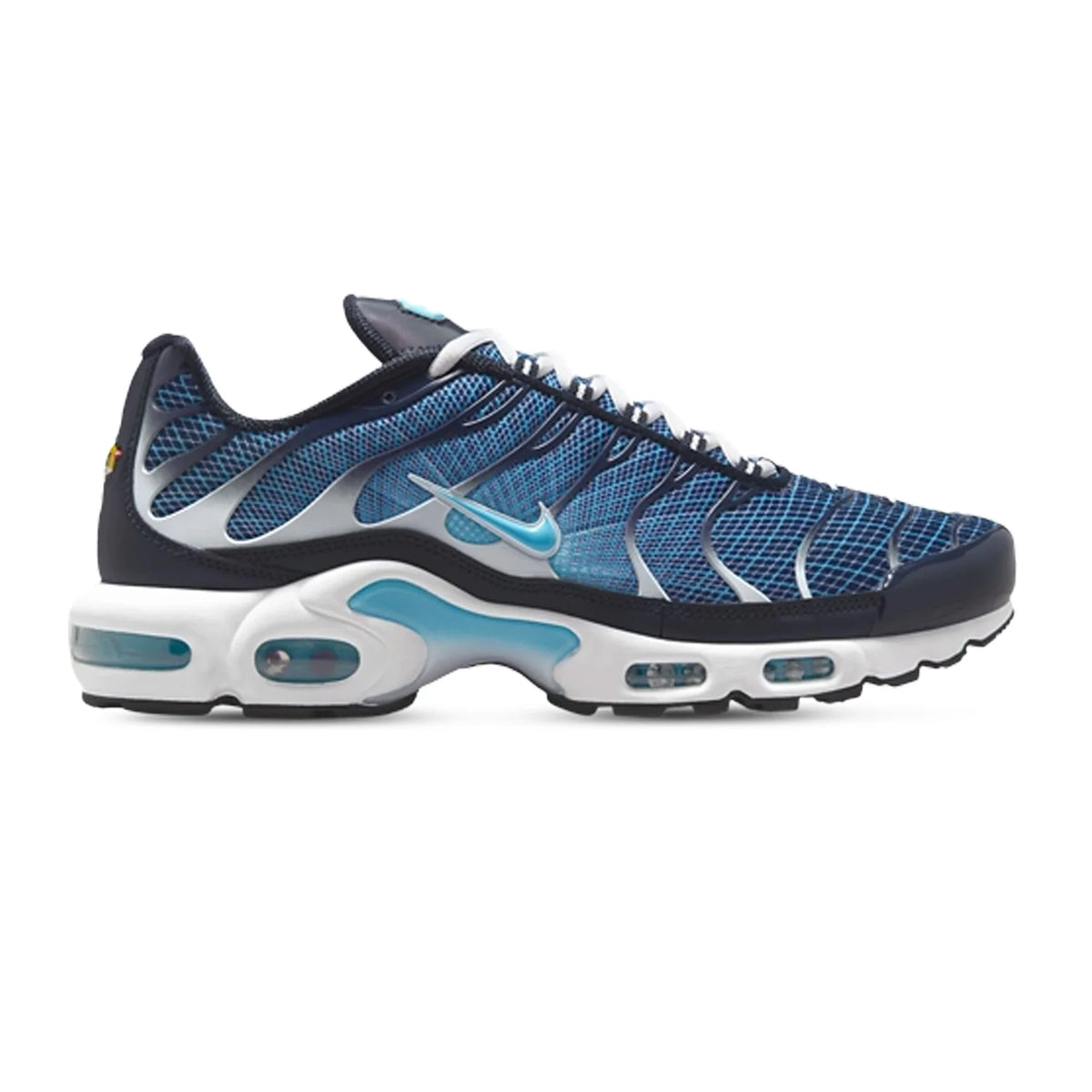 Nike Air Max Plus Tn Dark Obsidian