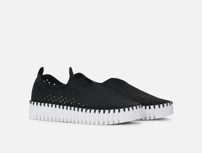 Jacobsen Women’s Tulip Flats 3373 Black